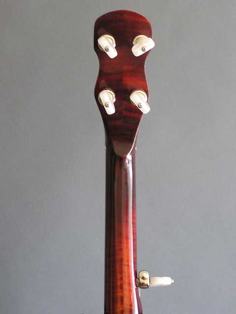 Headstock Rear