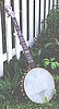 An Early Banjo